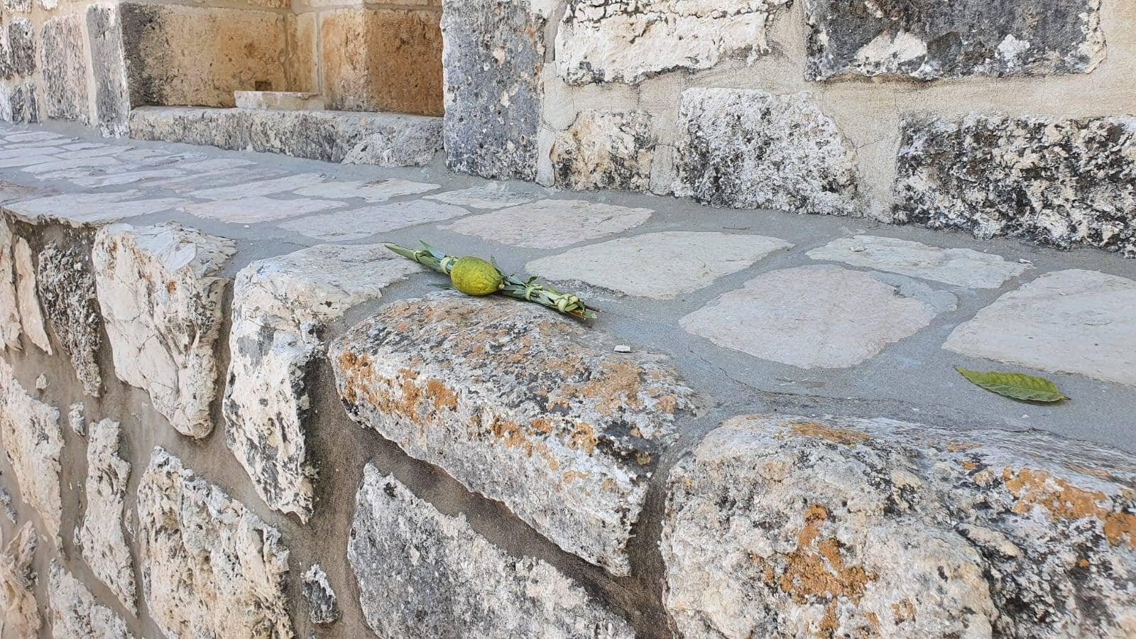 شهد المسجد الأقصى الأحد 16-10-2022 إدخال القرابين النباتية بشكلٍ علني وتحت حراسة شرطة الاحتلال، وقد استعرض المستوطنون القرابين النباتية أمام باب المغاربة، ثم استعرضوها علنًا أمام شرطة الاحتلال بشكل صريح في الساحة الشرقية للمسجد الأقصى مؤدين صلوات تقديمه