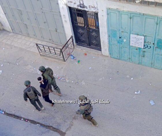 قوات الاحتلال تعتقل فلسطينيًا من مخيم الفوار بالخليل - 2024/10/24