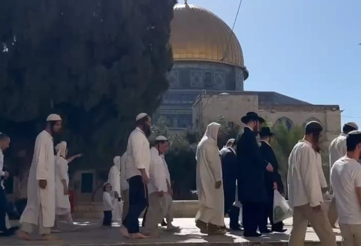 مستوطنون يقتحون الأقصى بحماية قوات الاحتلال - من صفحات "جماعات الهيكل" على فيسبوك